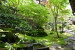 Garden | Ryokan Momiya