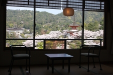 View of Room | Jukeiso