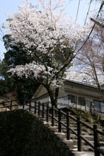 Forest Villa Mizuha