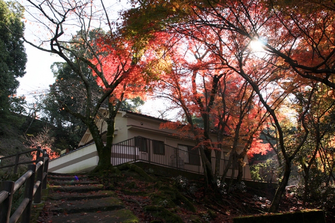 Forest Villa Mizuha