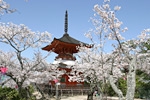 Tahoto Pagoda
