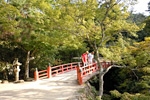 Momijidani Park