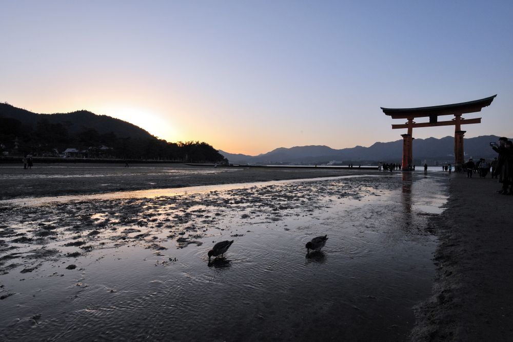 Miyajima