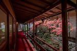 Lounge | Tsukihitei