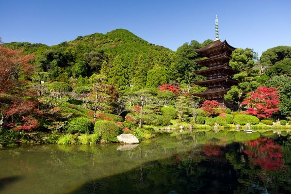 Rurikoji Temple and Five-storied Pagoda