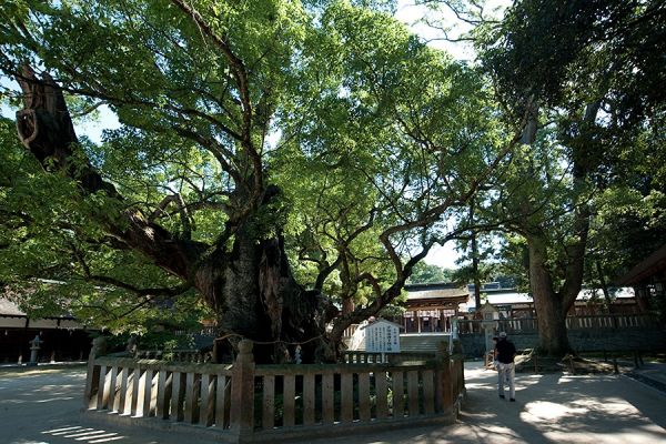 Oyamazumi Shrine