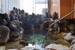 Rock bath | Mikasaya
