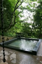 External public hot spring 
