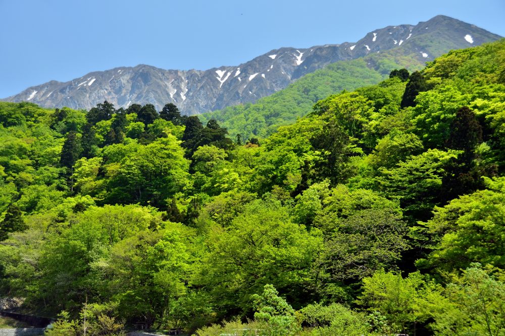 Daisen