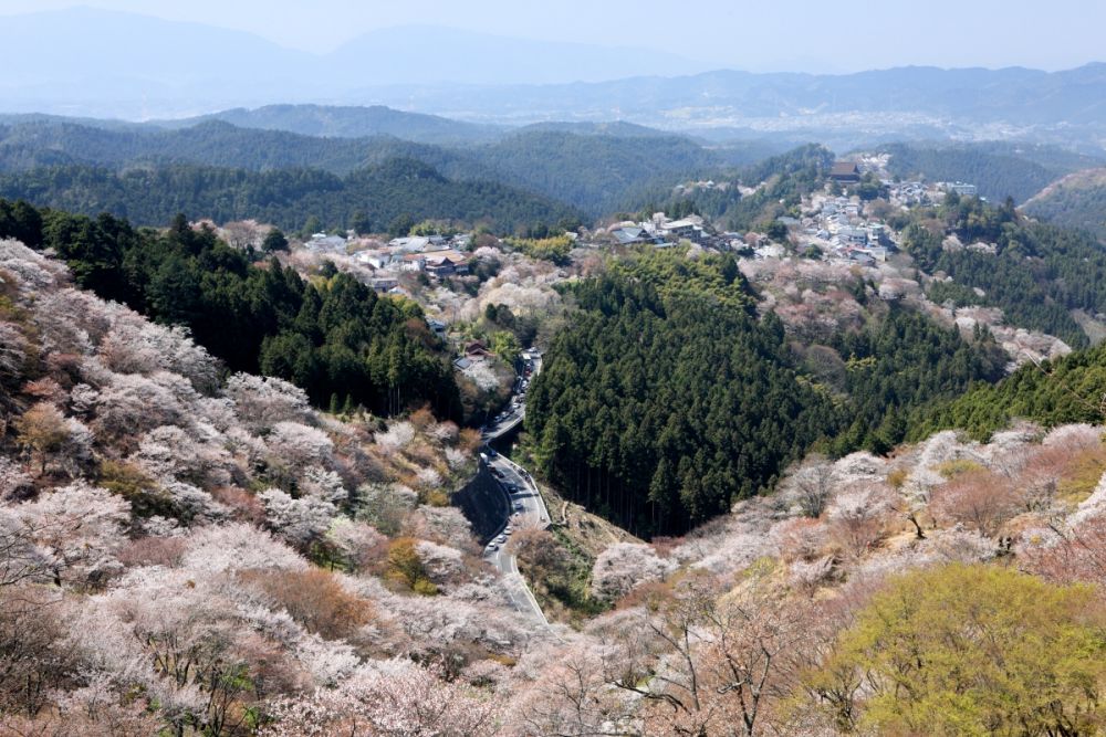 Yoshinoyama