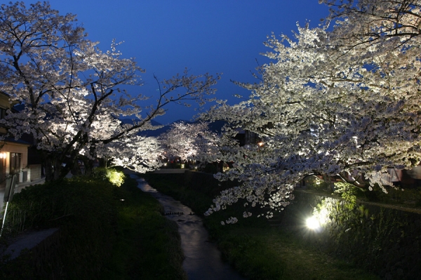 Yamaguchi Yuda Onsen