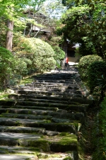 遷都1300年の平安の都。