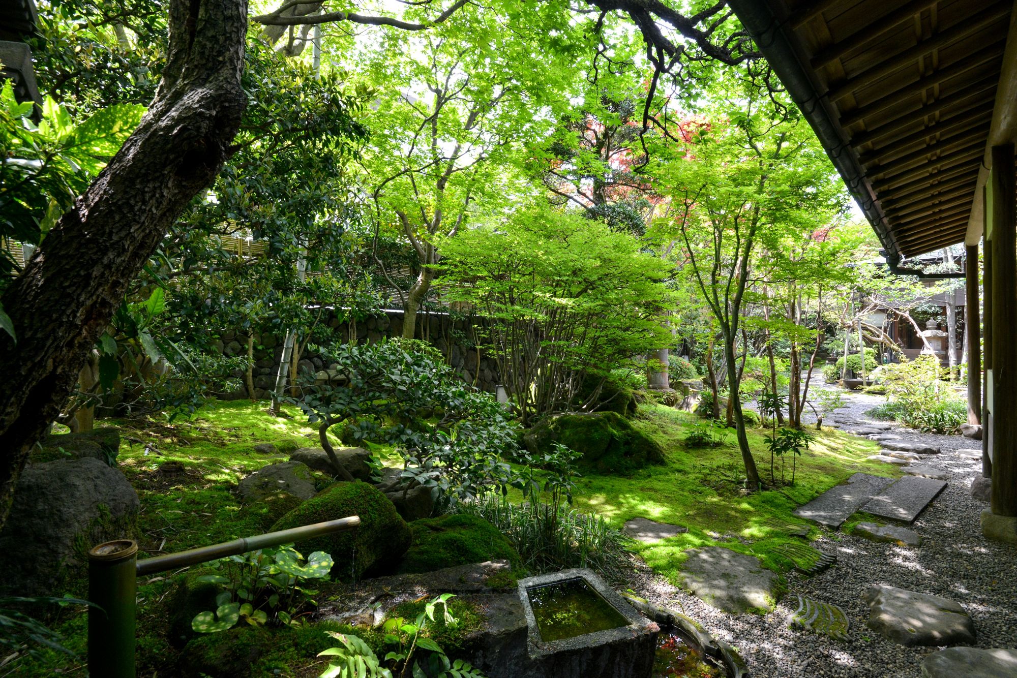 庭園 / 割烹旅館もみや