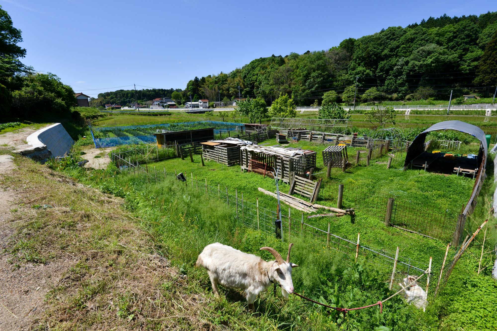 牧場 / 農家民宿　下原屋