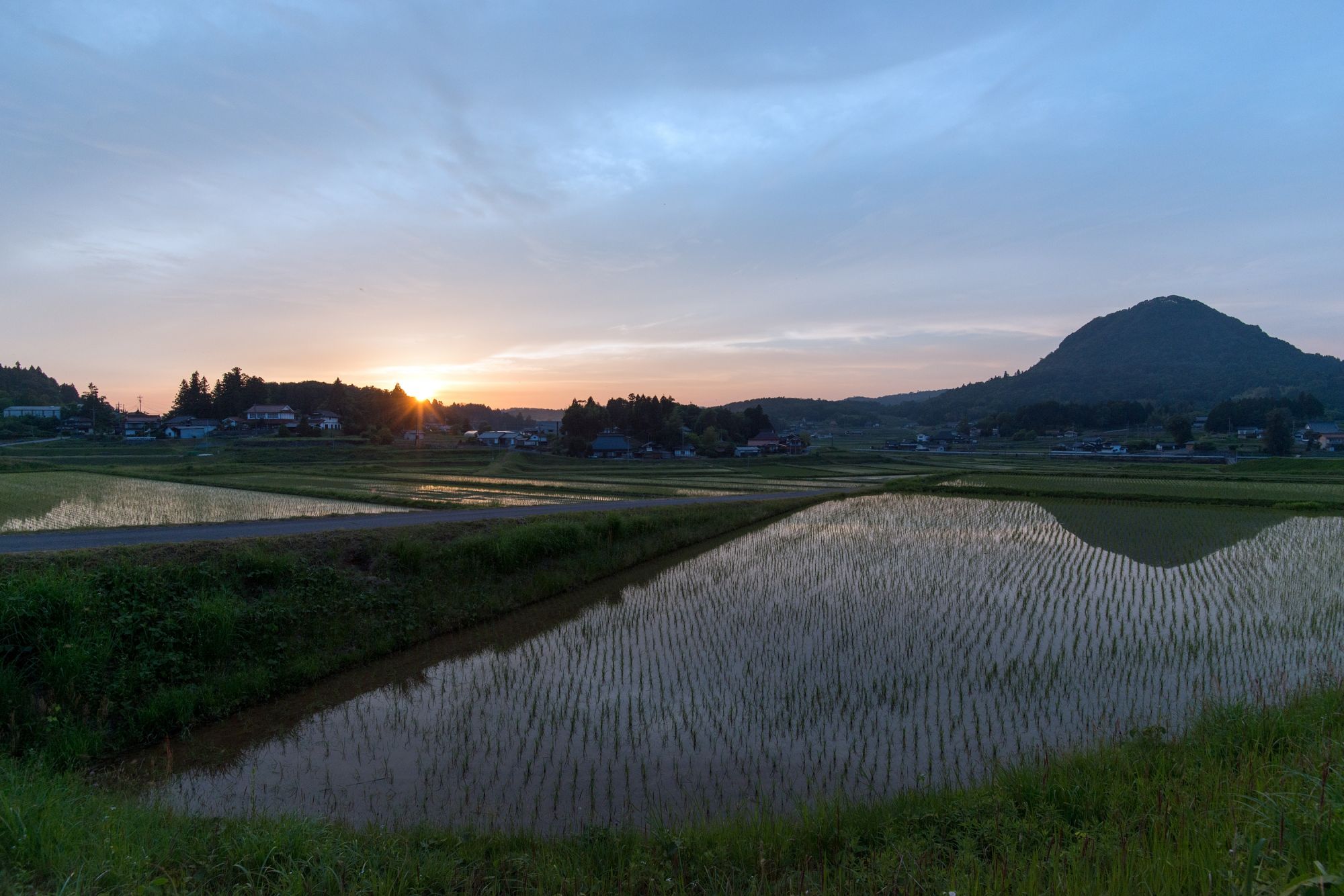 田 / 笑顔のやど　穂