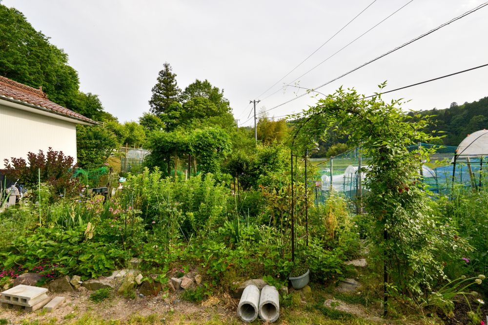 庭 / 農家民宿・野菜　華樹庵