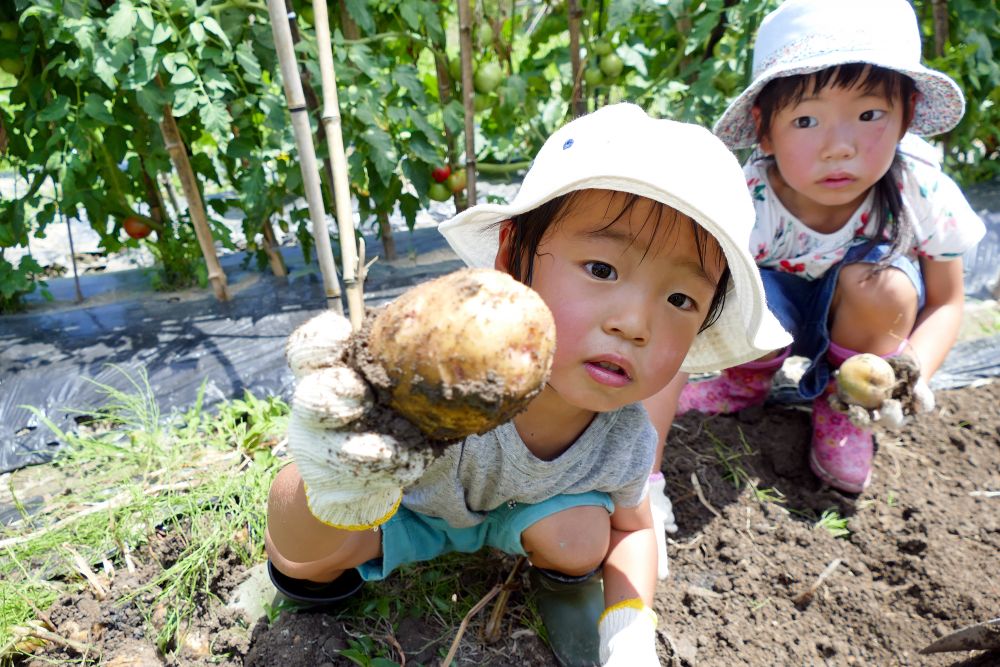 農業体験の子供達 / 民宿ひなの