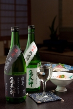 Dinner and Sake | Nogawaya