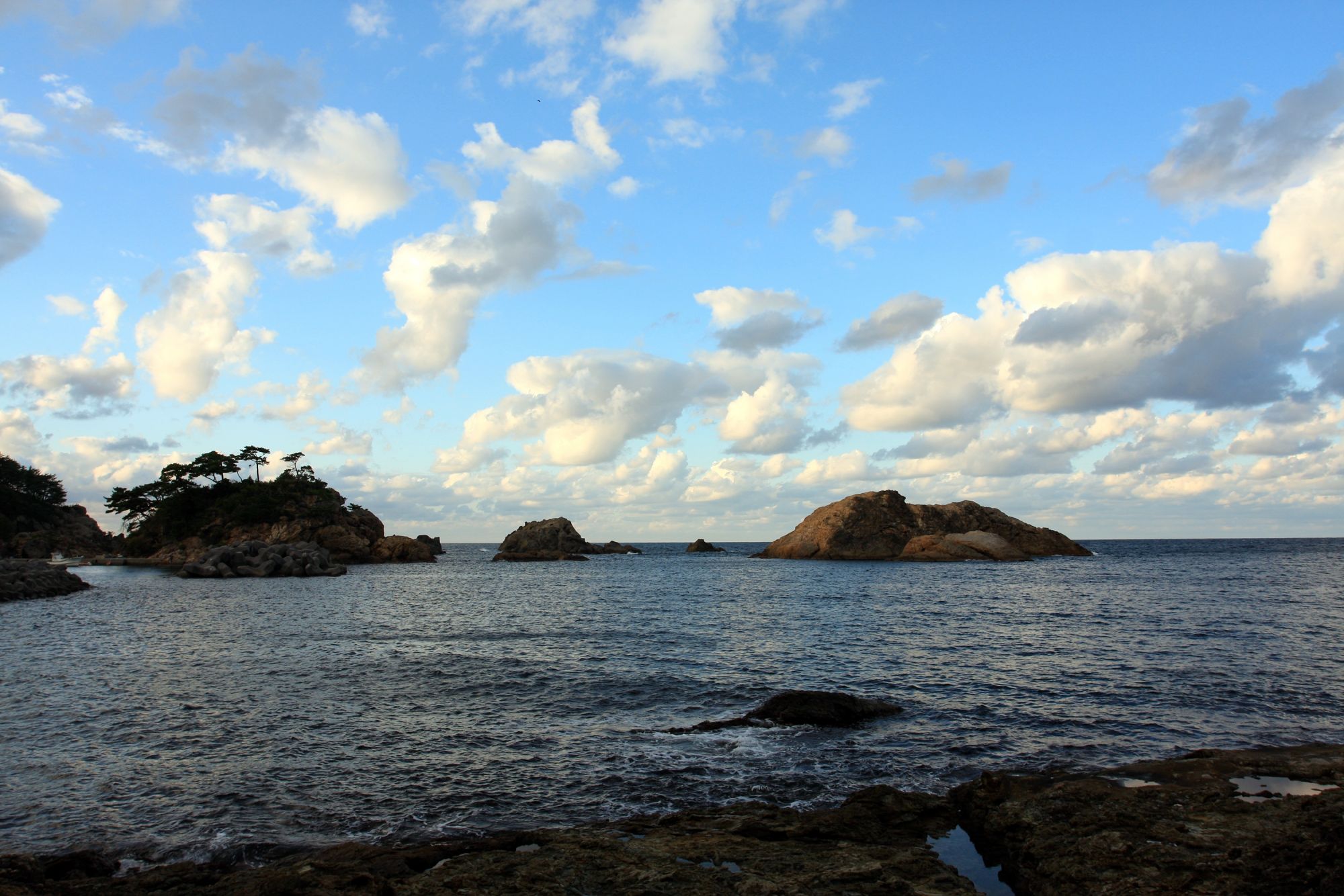 海鮮民宿　ことぶき荘・客室