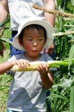 農業体験の子供達