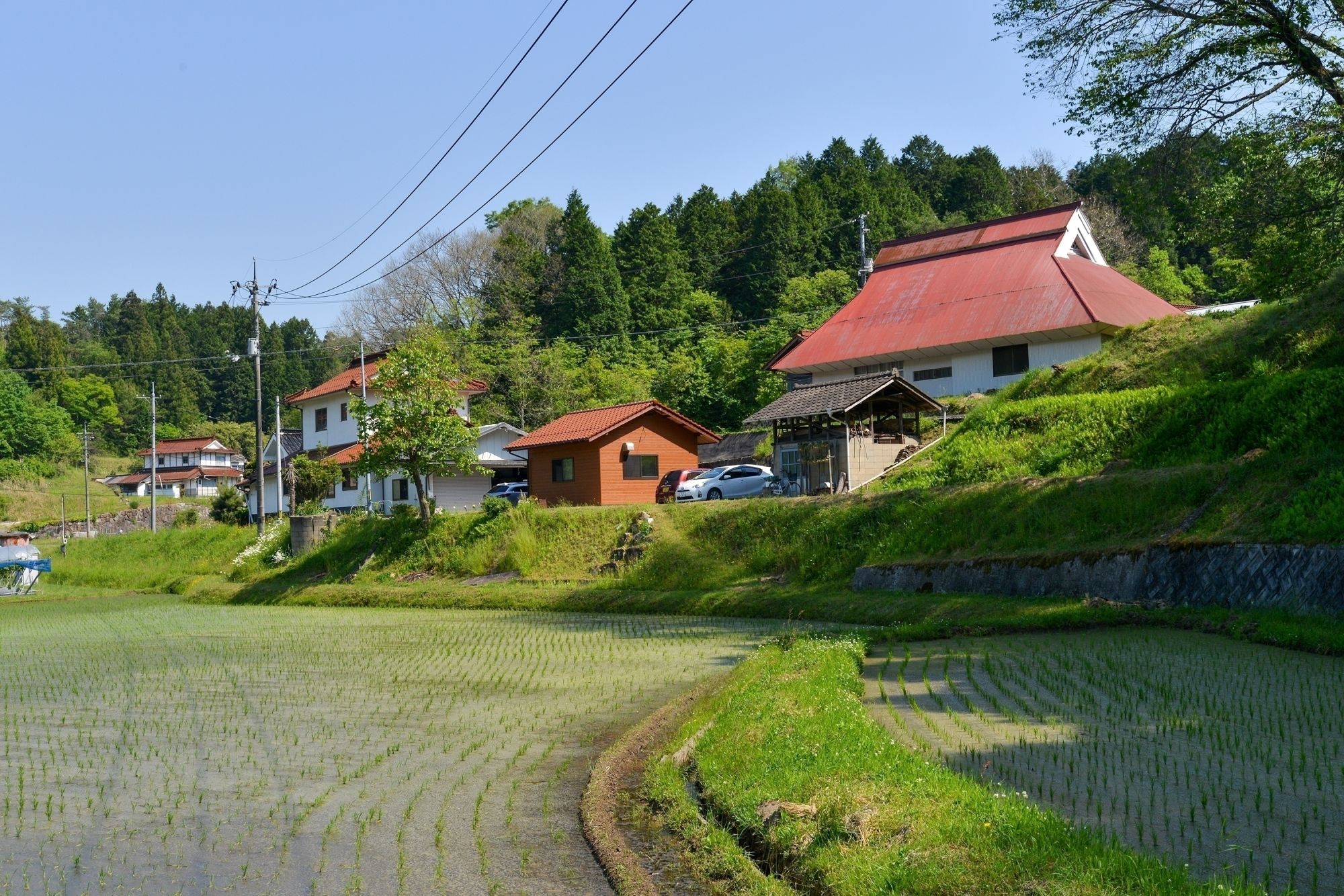 ときばぁばのほっこり自然宿