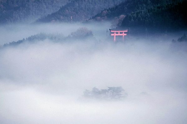 9号線大鳥居（朝霧望観）