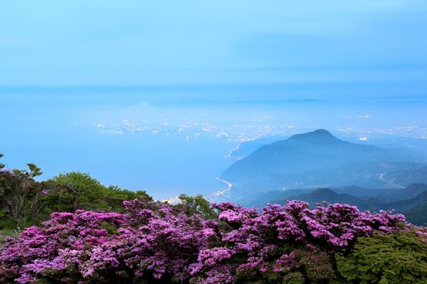 鶴見岳（ロープウェイ乗り場）