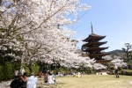 山口市・湯田温泉・瑠璃光寺五重塔他