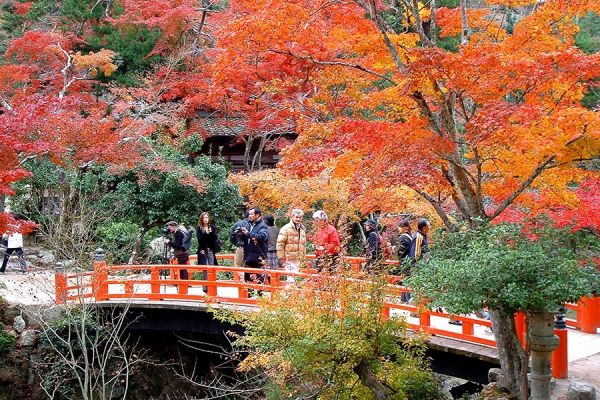 紅葉谷公園